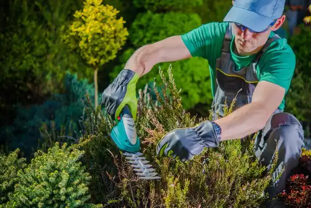 landscaping services Broadview Heights